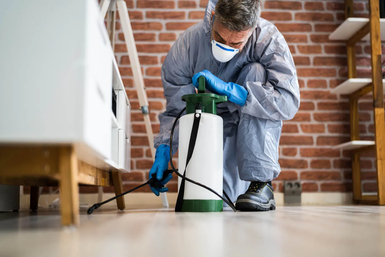 Pest Control in Port Charlotte, FL