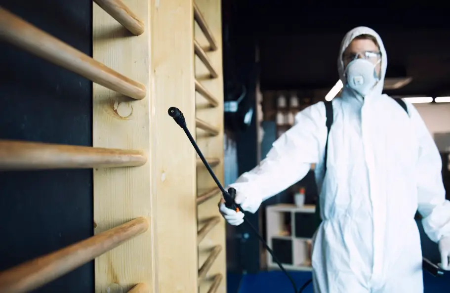 How Regular Termite Service Protects Your Home & Investment